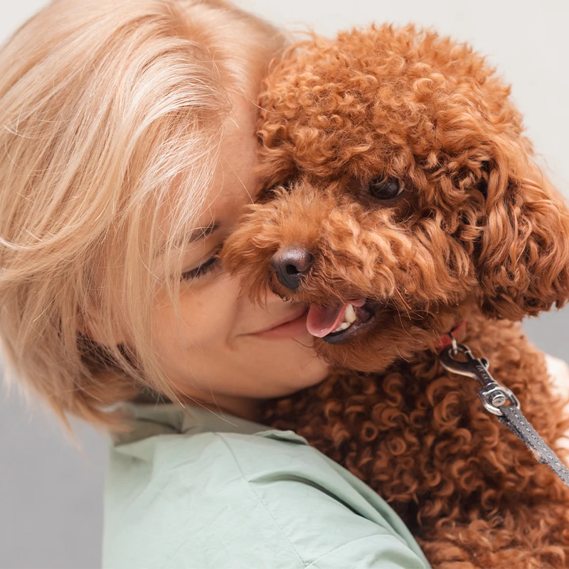 Professional dog salon and spa in Cedar Hill, Texas providing elevated grooming and personalized care.