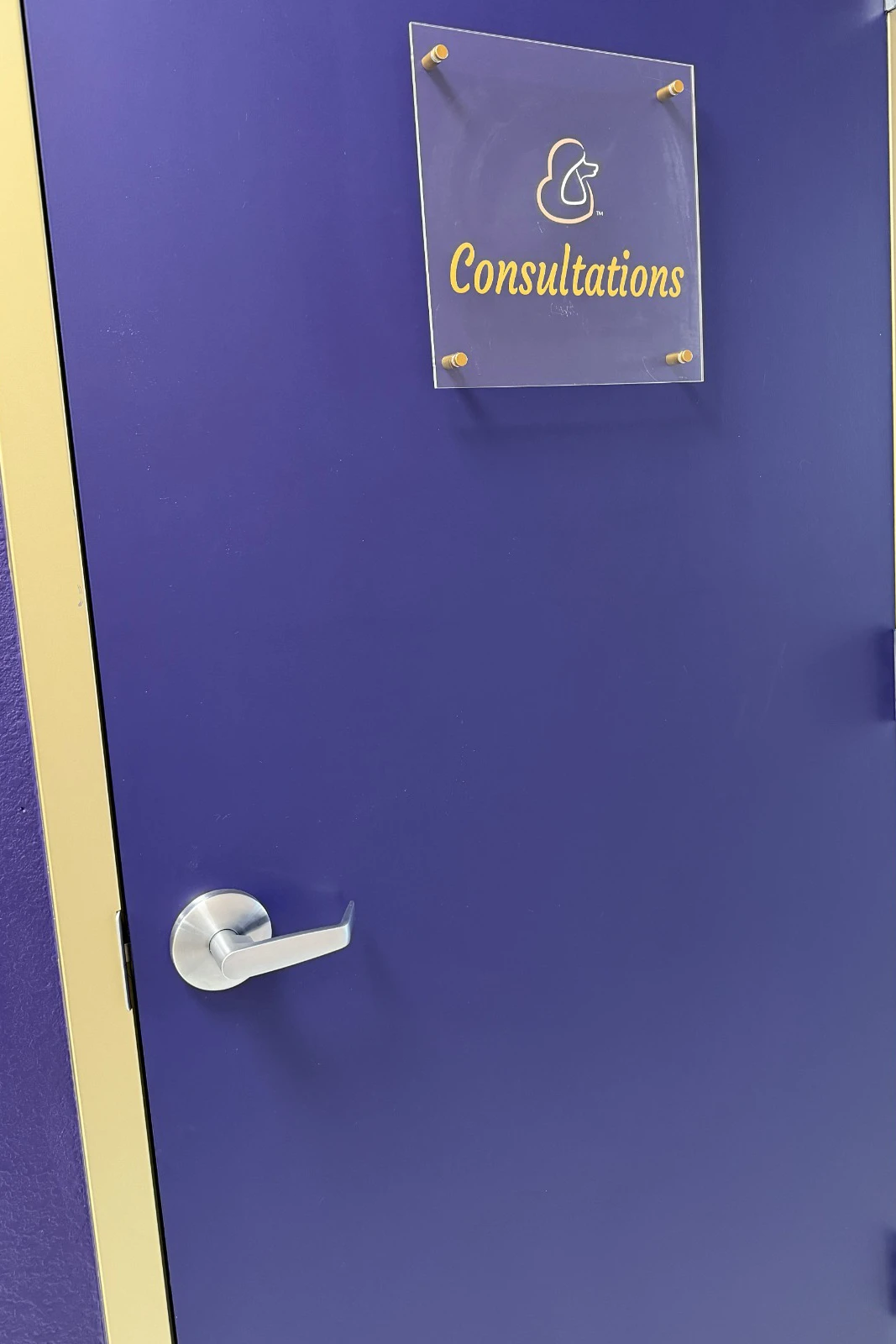 A close-up of a clear acrylic Consultations sign featuring the Fur-Bae logo, mounted with matte gold hardware against a deep purple wall.