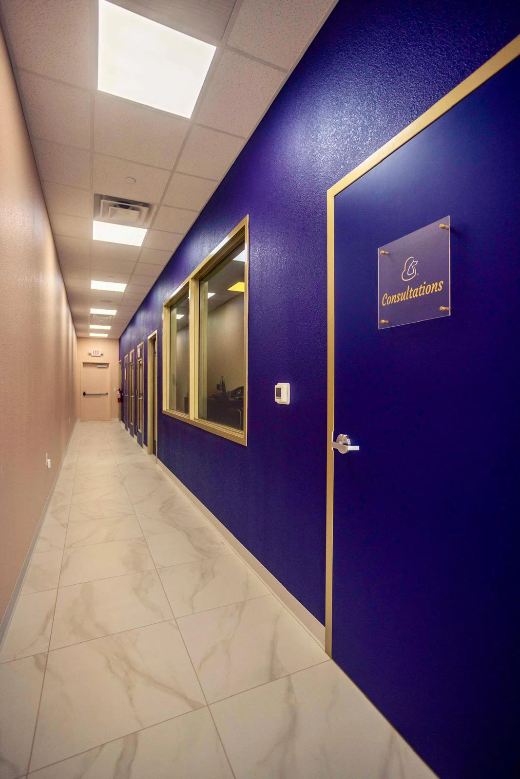 The hallway of the dog salon, showing deep purple walls with matte gold trim, large viewing windows, and a door marked for private consultations.