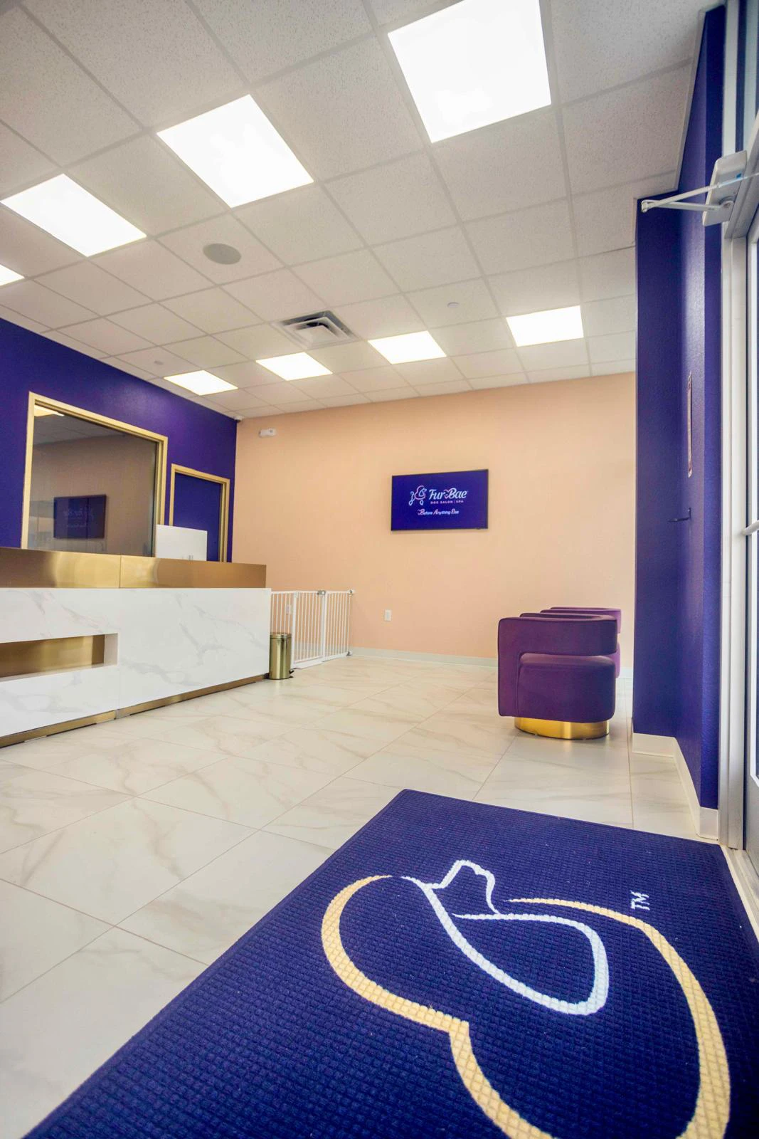 fur-bae-luxury-dog-spa-reception-desk-cedar-hill-tx