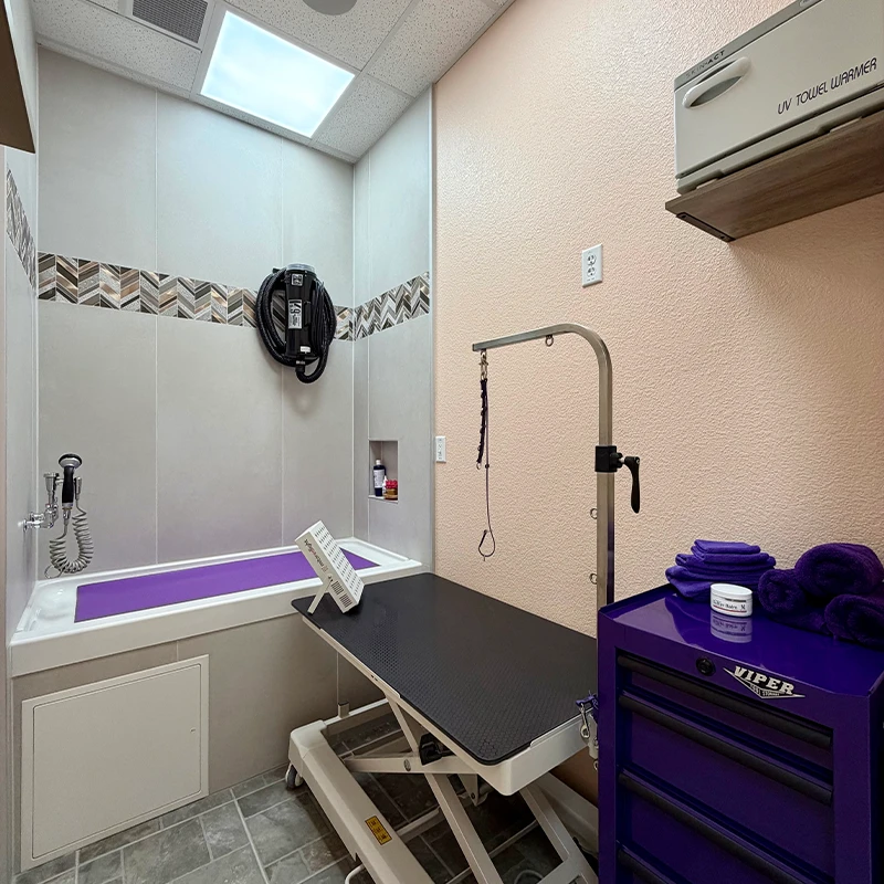 Private dog grooming suite at Fur-Bae Dog Salon & Spa designed for calm, one-on-one bathing and grooming appointments. The space features modern gray flooring, a dedicated wash tub, an adjustable grooming table, a UV towel warmer, and matching purple accents.