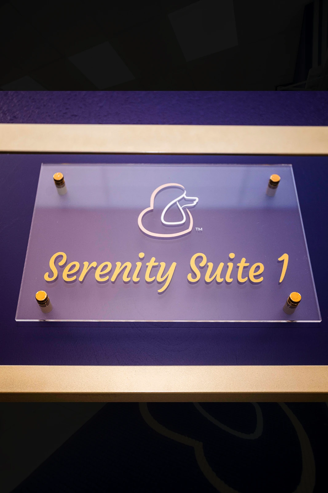 Clear acrylic room sign reading 'Serenity Suite 2' featuring the Fur-Bae logo, mounted with gold hardware on a dark purple wall.