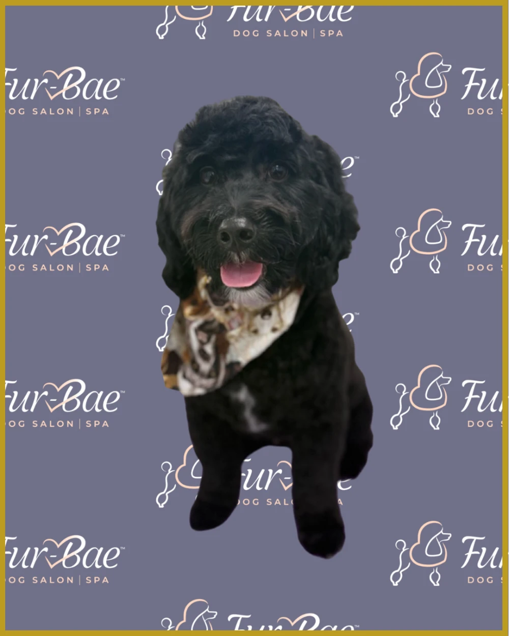 Black goldendoodle with bandanna after a groom at Fur-Bae Dog Salon & Spa