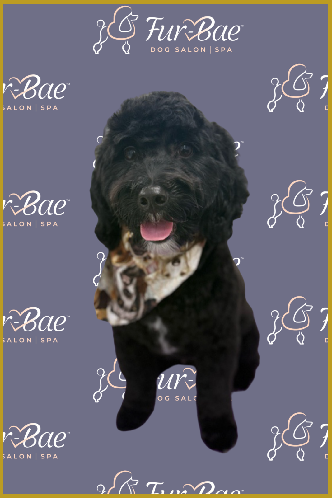 Black goldendoodle with bandanna after a groom at Fur-Bae Dog Salon & Spa