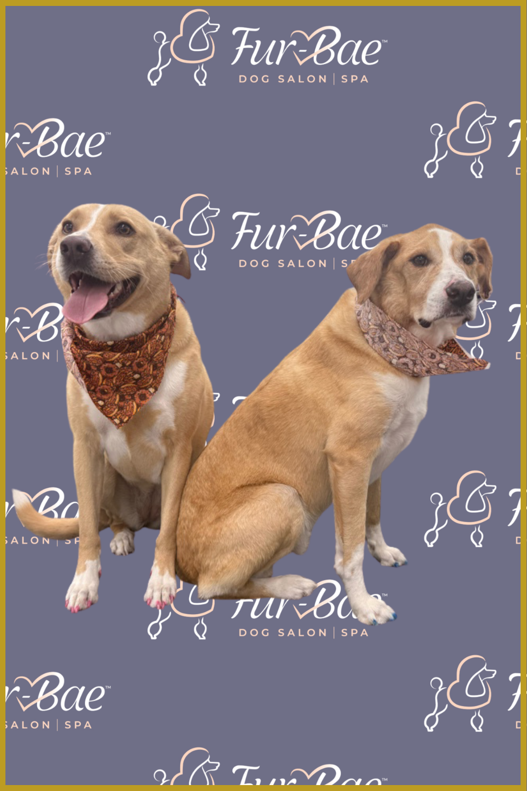 Dog siblings with pedicures done at Fur-Bae