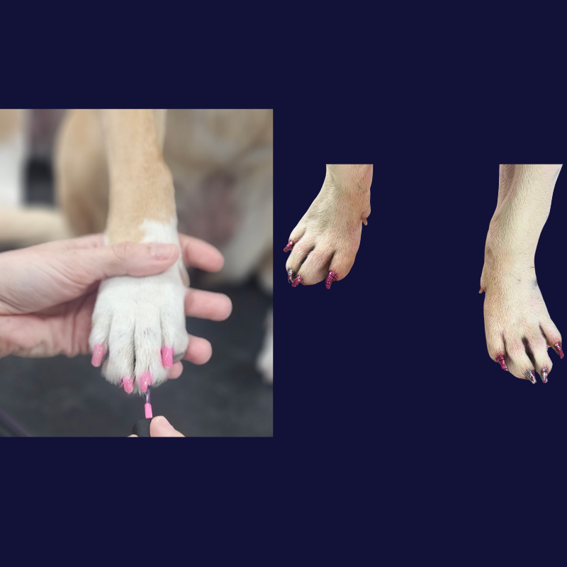 fur-bae-dog-nail-polish-nail-wraps